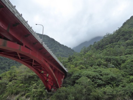 Copyright Tina Lindner