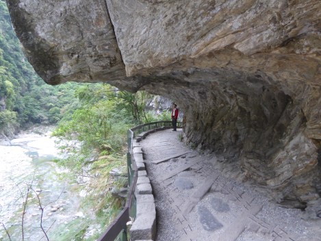 Copyright Tina Lindner