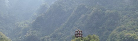 Copyright Tina Lindner